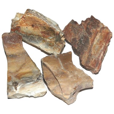 Lemn fosilizat brut 1,5 cm.
